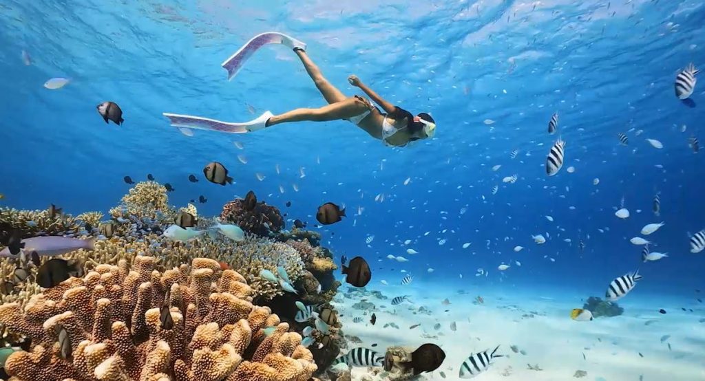 GoPro sử dụng ống kính góc rộng
